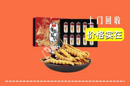 佳木斯同江市回收冬虫夏草